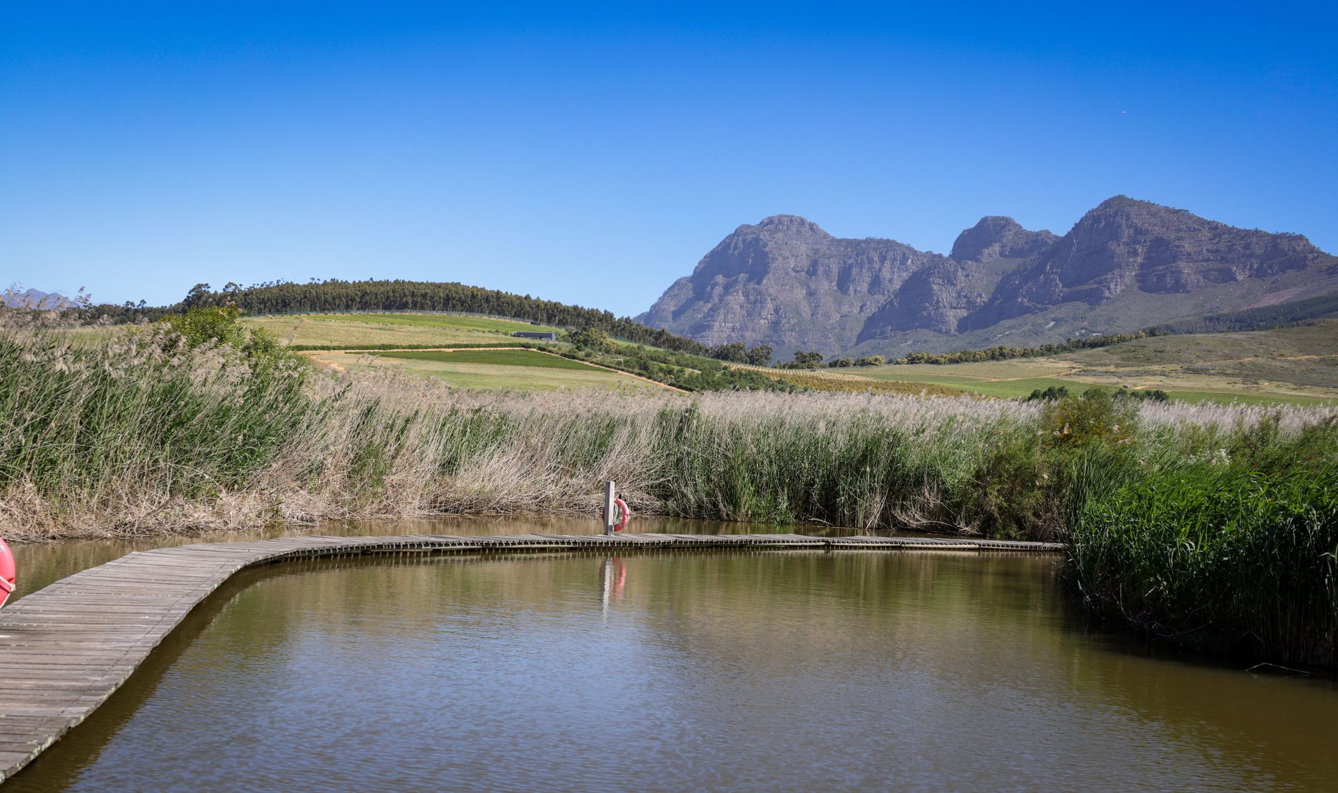 Winelands Beer Route: Stellenbosch & Franschhoek Craft Brewery Guide 2026
