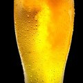 Low-Carb Beer Options: A Comprehensive Guide