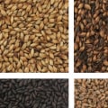 What type of malt is used to make lager beer?