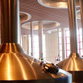 What type of yeast is used in the brewing process for stella artois?