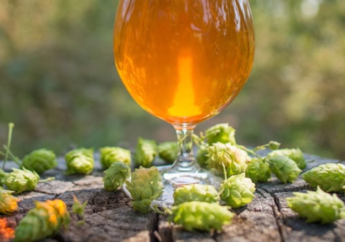 What is an IPA and How Does it Fit into the Craft Beer Scene?